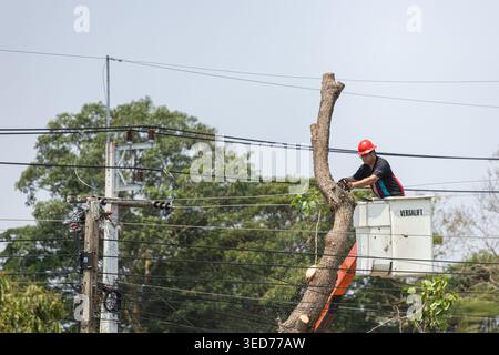 Dok Kham Tai, Phayao, Thailandia - 29 aprile 2026: Tecnico PEA (Provinciale dell'energia elettrica), in rosso elmetto gestisce motosega da Versalift B. Foto Stock