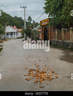 Dry Coconut Husks su Village Road Foto Stock