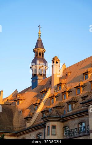Francia, Bas Rhin, Strasburgo, città vecchia dichiarata Patrimonio dell'Umanità dall'UNESCO, l'ospedale civile, sito storico degli ospedali dell'Università di Strasburgo, il principale edificio storico ricostruito nel 18th secolo Foto Stock