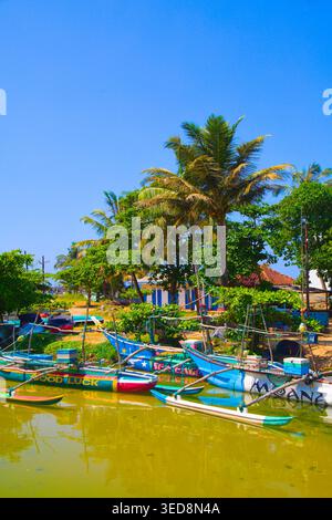 Sri Lanka, Dodanduwa, pescherecci, Foto Stock