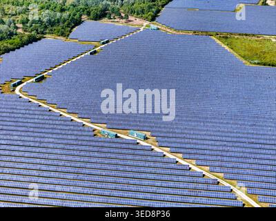 Veduta aerea di una grande fattoria a pannelli solari con file di moduli fotovoltaici blu e contenitori verdi circondati da una lussureggiante foresta a Torrazza Piemonte, Pi Foto Stock