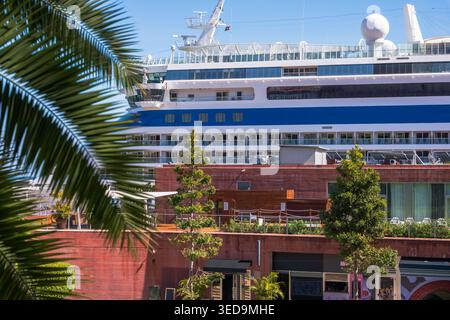 Grande nave da crociera di lusso ormeggiata sul lungomare di Madeira, con moderno edificio terminale in mattoni rossi e palme, cielo azzurro. Viaggiare Foto Stock