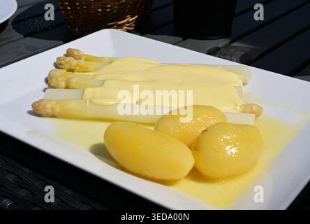 asparagi bolliti con salsa hollandaise e patate Foto Stock