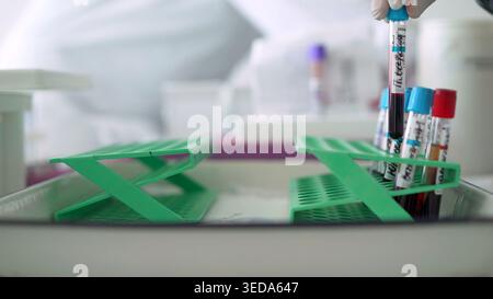 Primo piano di una mano con i guanti, collocando una fiala per campioni di sangue in un rack verde. La profondità di campo ridotta si concentra sulle provette in un laboratorio bianco sterile Foto Stock