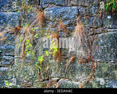 Vecchio muro fatto di massi, sfondo e consistenza Foto Stock