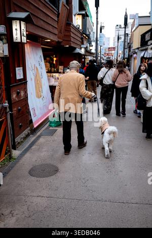 Affollata via dello shopping fiancheggiata da negozi e pedoni a Kamakura, Giappone. Foto Stock