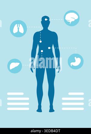 Illustrazione piatta dell'anatomia del corpo umano con organi evidenziati come cervello, polmoni, fegato e stomaco, che rappresentano l'assistenza sanitaria, studio medico e bio Illustrazione Vettoriale