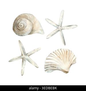 Set di illustrazioni ad acquerello conchiglie. Raccolta di elementi disegnati a mano isolati su bianco Foto Stock