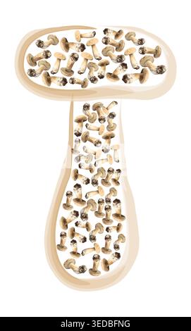 Funghi disposti a forma di funghi su sfondo bianco Foto Stock