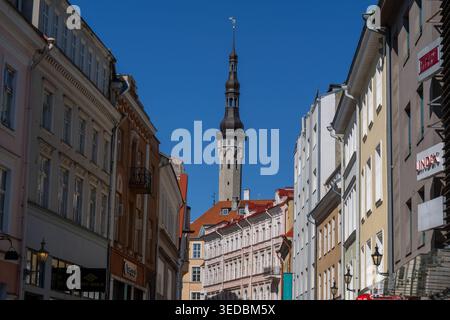 Tallinn, Estonia - 19 maggio 2025: Torre del Municipio nella città Vecchia, vista da Viru Street nel centro storico della città. Foto Stock