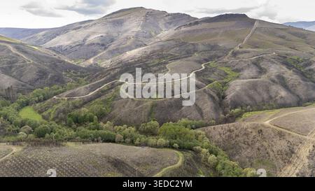Vista aerea delle aspre montagne di Ourense che mostrano pendii carbonizzati di un incendio boschivo e tortuose strade sterrate sotto un cielo nuvoloso Provincia di Ourense, S. Foto Stock