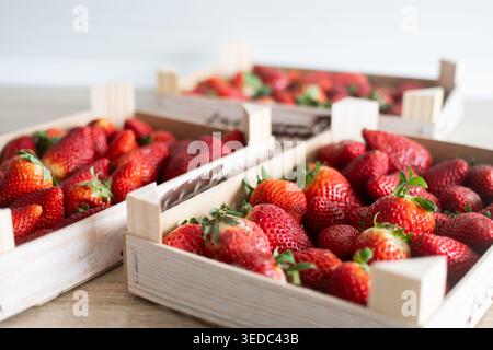 Fragole fresche su scatole di legno su tavola di legno Foto Stock
