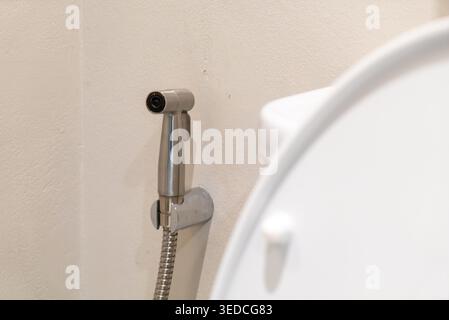 Questa immagine mostra un moderno bagno con bidet spray in acciaio inossidabile attaccato al WC, che sottolinea l'igiene e il contemporaneo Foto Stock