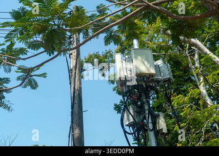 Una moderna torre di comunicazione si erge tra alberi verdi sotto un cielo azzurro e cristallino, mostrando la miscela di tecnologia e natura negli ambienti urbani Foto Stock