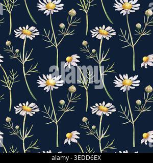 Disegno ad acquerello senza cuciture con fiori di camomilla bianchi su sfondo scuro. Il motivo floreale dipinto a mano include margherite delicate e realistiche Foto Stock