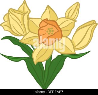 Fiori di Narciso. Fiori primaverili. Illustrazione vettoriale dei narcisi gialli in fiore con foglie. Disegna per carte, poster, tessuti e altro ancora Illustrazione Vettoriale