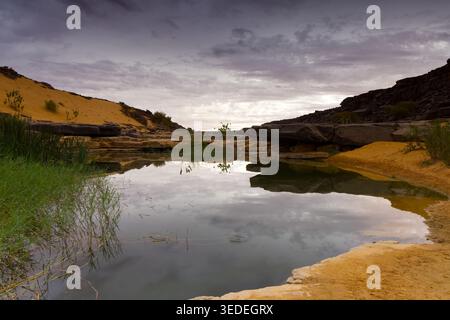 Splendida oasi con un piccolo lago, la Mauritania Foto Stock