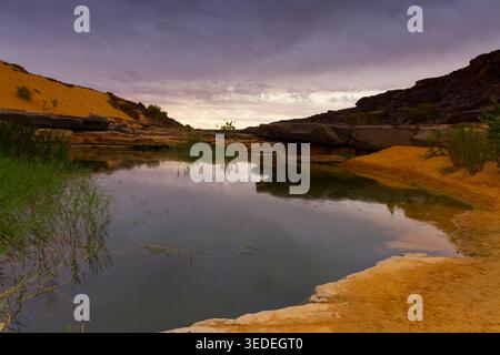 Splendida oasi con un piccolo lago, la Mauritania Foto Stock