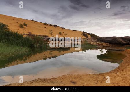 Splendida oasi con un piccolo lago, la Mauritania Foto Stock