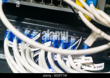 Vista ravvicinata di uno switch Ethernet con i cavi di rete collegati. L'immagine mostra il cablaggio organizzato con etichette chiare, adatte per la tecnologia e ne Foto Stock