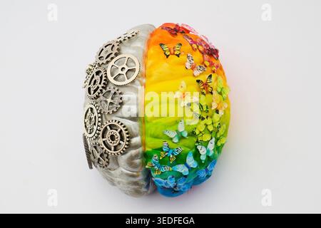 Cervello umano che raffigura la logica della creatività emisfero destro sinistro Foto Stock