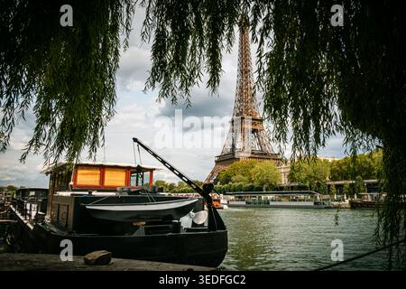 La Torre Eiffel è circondata dal fogliame scuro di un salice piangente, visto dalle rive della Senna a Parigi, in Francia Foto Stock