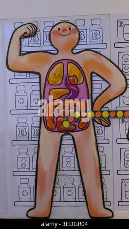 Illustrazione colorata del sistema digerente in stile cartoni animati moderno Foto Stock