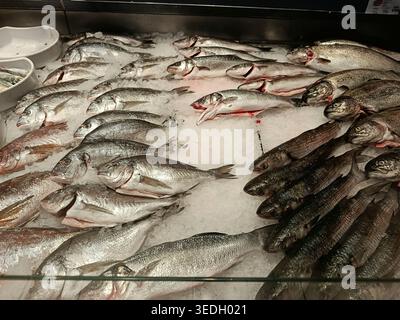Varietà di pesce fresco come orata, spigola e specie a strisce sono esposte sul ghiaccio tritato in un bancone di pesce del mercato, mostrando freschezza. Foto Stock