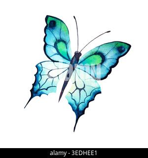 Farfalla. Illustrazione disegnata a mano isolata ad acquerello su sfondo bianco Foto Stock