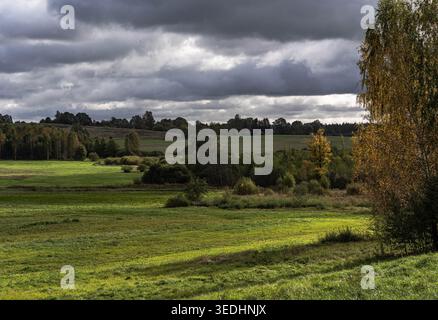 Campagna autunnale sotto nuvole di tempesta in Lettonia Foto Stock