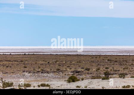L'immagine cattura la zona di transizione tra la macchia rocciosa sparsa dell'altipiano e la vasta distesa del Salar de Uyuni, la più grande del mondo Foto Stock