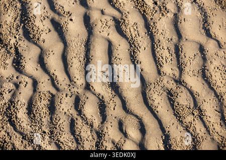 Vista ravvicinata della consistenza di sabbia bagnata con un motivo naturale a ondulazione formato dall'onda del mare sulla spiaggia tropicale in Thailandia che evoca calmanti ed emotivi tranquilli Foto Stock