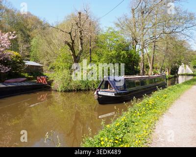 Barche strette sul canale di Caldon a Denford Foto Stock