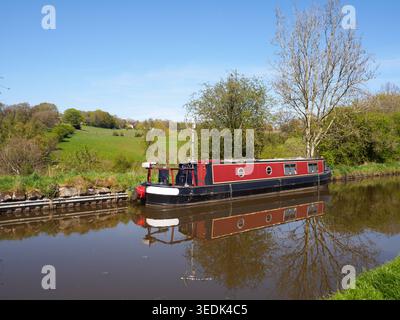 Una stretta barca ormeggiata sul ramo di Leek del Canale di Caldon a Denford Foto Stock