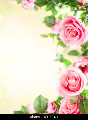 Bellissimi fiori di rose rosa nel giardino estivo. Sfondo floreale primaverile o estivo. Foto Stock