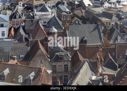 Paesaggio urbano sulla città belga di Mons, girato dal Belfry di Mons (Beffroi de Mons) con ampie vedute della città che si affacciano sui tetti della città vecchia. Foto Stock