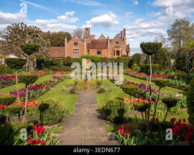 Chenies Manor ha affondato il giardino dalla cima dei gradini, guardando verso il maniero Tudor sopra i prati attraverso i bordi dei tulipani e la topiaria. Foto Stock