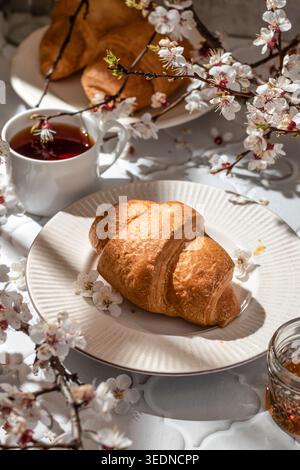 Colazione con croissant e tè freschi, fiori primaverili bianchi su sfondo bianco piastrellato in una luminosa luce mattutina Foto Stock