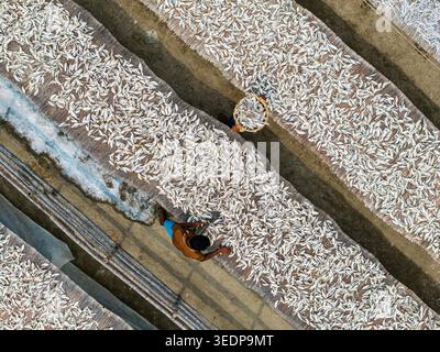 Cox's Bazar, Bangladesh - 11 marzo 2026: Veduta aerea dei lavoratori che spargono piccoli pesci su tappeti di bambù per asciugare in un cortile sotto il sole. Foto Stock