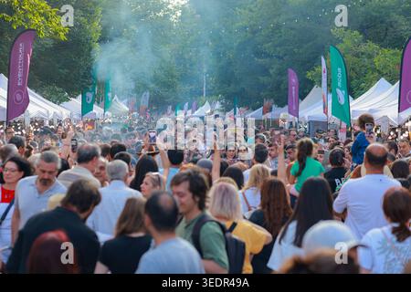 Yerevan Wine Days riempie una strada trafficata di Yerevan con visitatori del festival, tende di degustazione bianche, bandiere e una vivace folla diurna riunita insieme. Foto Stock