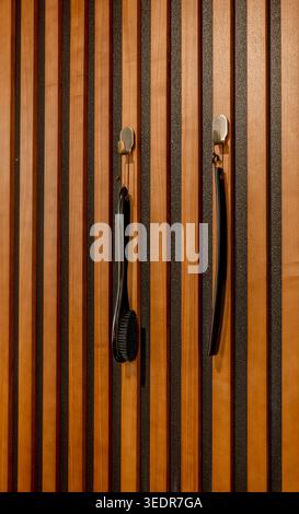Pannello a doghe di legno con ganci metallici e spazzola per scarpe in un interno moderno di corridoio motivo verticale area di stoccaggio per abbigliamento, accessori alla moda Foto Stock