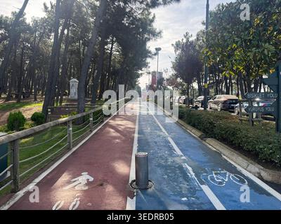 Parco urbano alberato con piste ciclabili e pedonali contraddistinte da marciapiedi colorati e cartelli direzionali. Foto Stock