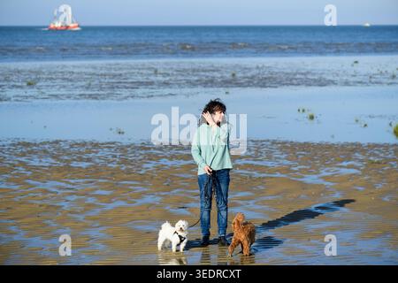 Donna con i suoi cani nelle distese fangose di Cuxhaven Foto Stock