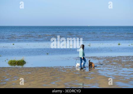 Donna con i suoi cani nelle distese fangose di Cuxhaven Foto Stock