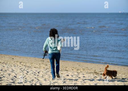Una giornata alla spiaggia dei cani a Cuxhaven Foto Stock