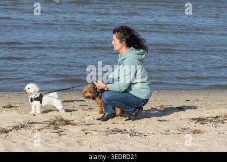 Donna con i suoi cani sulla spiaggia dei cani a Cuxhaven Foto Stock