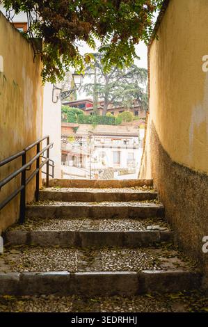 Ammira una stretta scala di pietra tra le mura gialle, che si apre su case tradizionali con tetti piastrellati e alberi lussureggianti a Granada, Spagna. Foglie cadute Foto Stock