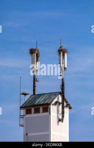 Montante per telefono cellulare con nido di cicogna su una torre Foto Stock