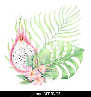 Dragon Fruit, plumeria e foglie tropicali, acquerello e illustrazione a matita colorata Foto Stock