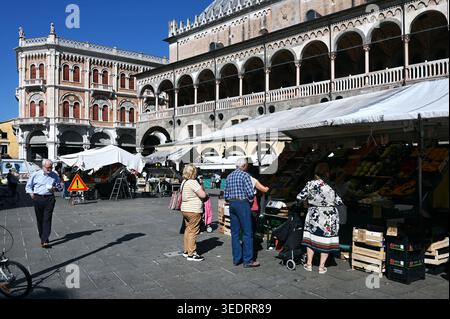Markt a Padova, Venezia, Italia *** mercato a Padova, Veneto, Italia Foto Stock
